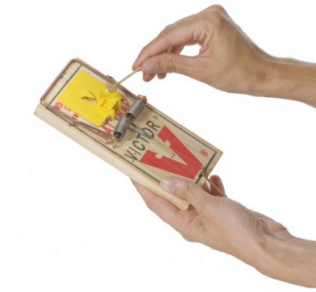 Victor Piège à rat Victor